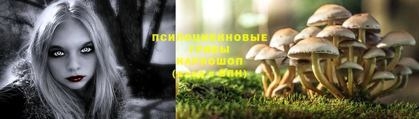 ГАЛЛЮЦИНОГЕННЫЕ ГРИБЫ Краснотурьинск