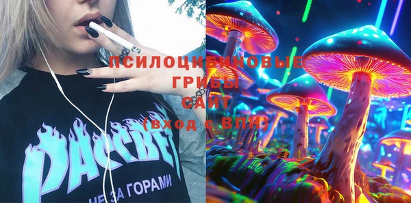 экстази Краснослободск