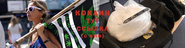 ГАЛЛЮЦИНОГЕННЫЕ ГРИБЫ Краснотурьинск