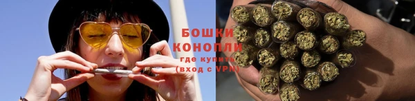 крисы Костерёво